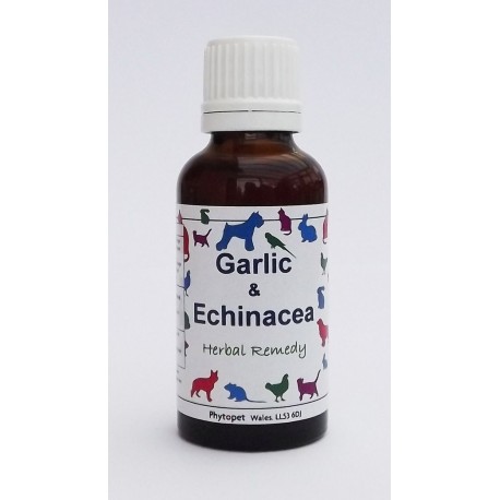 Garlic&Echinacea-Anti-Infectieux