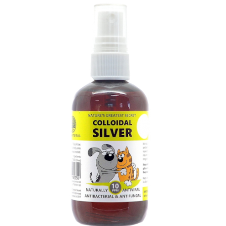 Argent Colloidal - Spray 100 ml