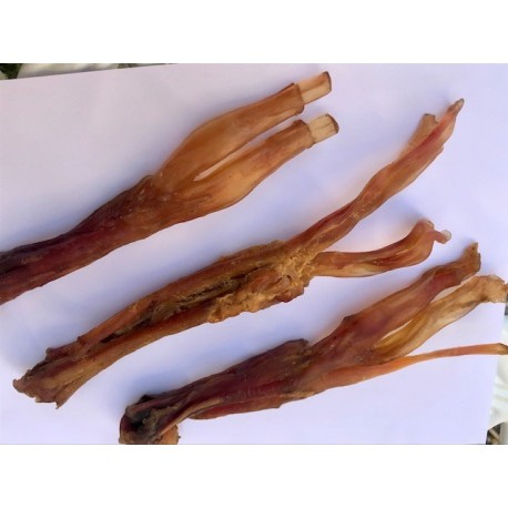 Tendon de bœuf pour chien 