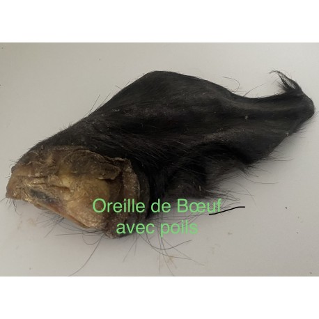 Oreilles de Boeuf avec Poils