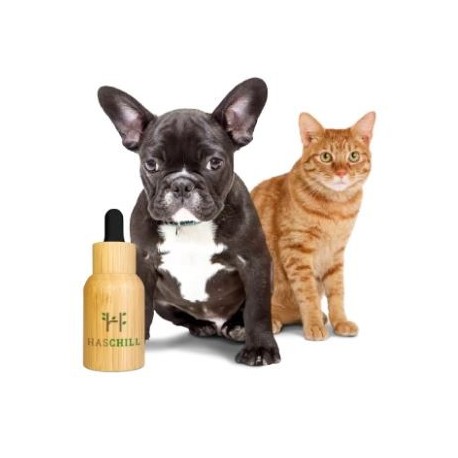 Huile CBD Chien & Chat