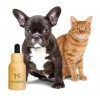 Huile CBD Chien & Chat