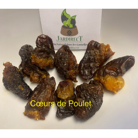 Cous de Poulet