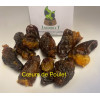 Cous de Poulet