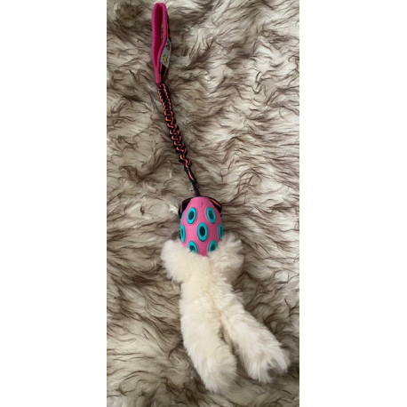 Tug Bungee & Balle de Rugby