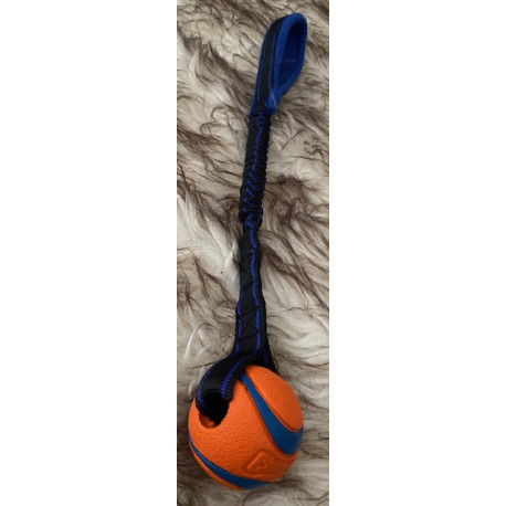 Tug Bungee & Balle Chuckit M