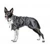 Imperméable Standard Back On Track