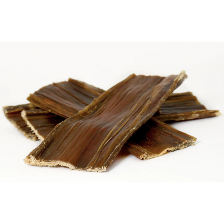 Tendon d'Achille de Boeuf