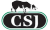 CSJ